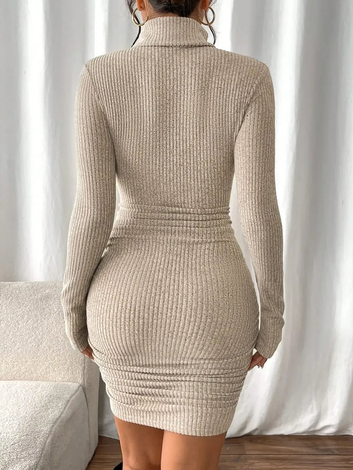 Larkin Ribbed Turtleneck Dress