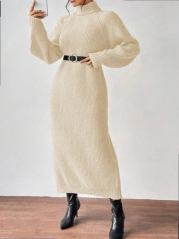 Odalys Turtleneck Sweater Dress