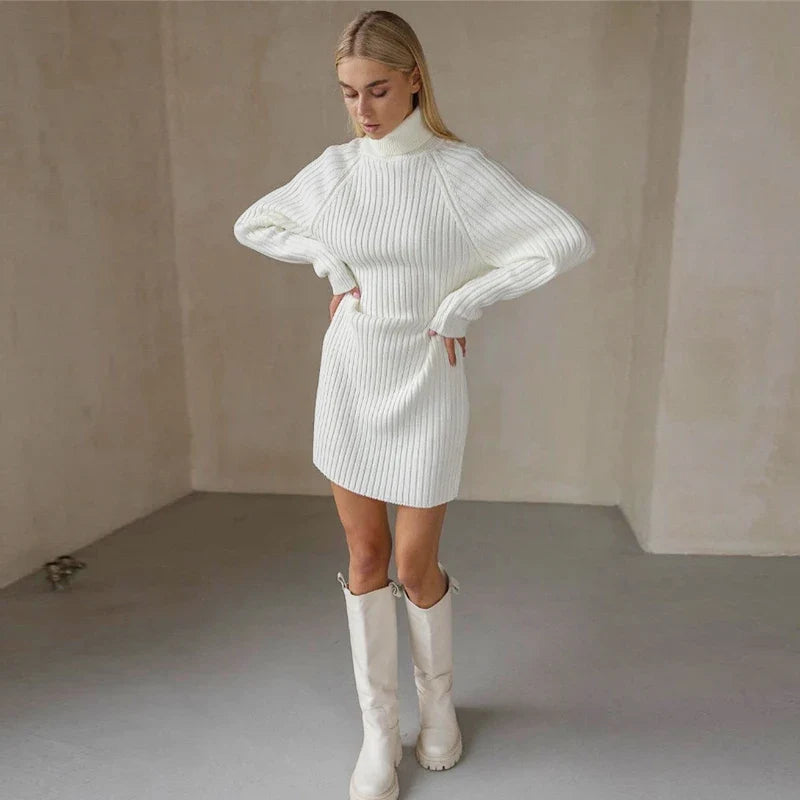 Laurel High Neck Sweater Dress