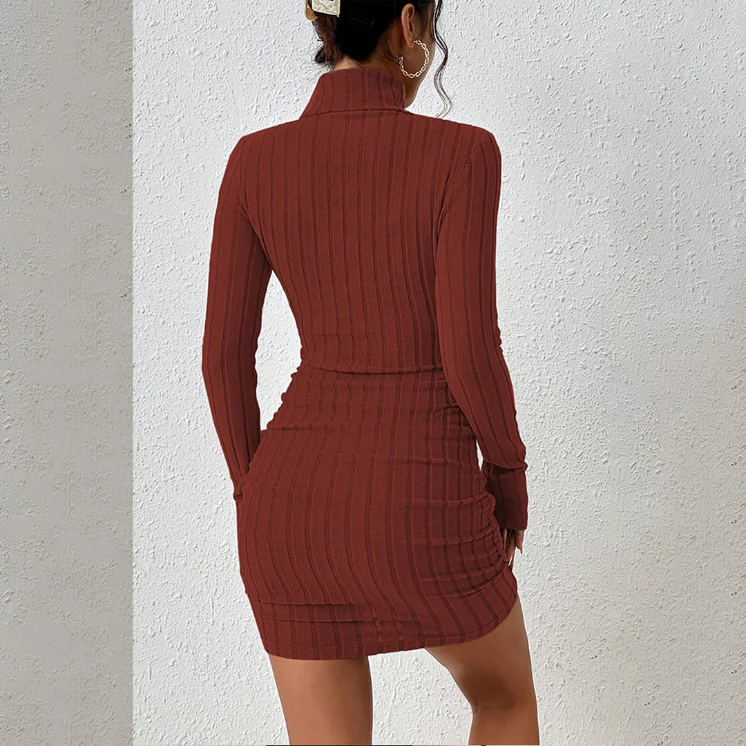 Sabine Turtleneck Sheath Dress